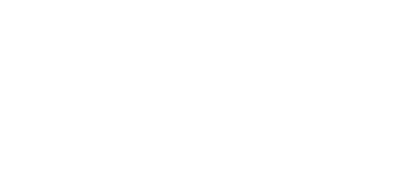 Noiz logo